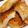 um♪'s cooksnap of when they made もっチーズとろろ（アレンジ春巻き）.