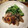 イシポン's cooksnap of when they made 牡蠣のしぐれ煮.