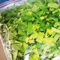 harukino's cooksnap of when they made 水菜・セロリ等の保存方法♪.