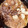 みみちょす's cooksnap of when they made 我が家のすき焼き（割り下関東風）.