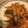 yuko16's cooksnap of when they made ごま和えのごま味噌.