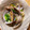 石崎ほし's cooksnap of when they made あさりの酒蒸し.