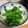hime1031's cooksnap of when they made 菜花のおひたし.