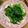hime1031's cooksnap of when they made 菜花のおひたし.