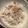 ゆう＊ママ's cooksnap of when they made 男子も喜ぶ♪生姜とシラスの炊き込みご飯.