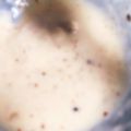 ュキンコ's cooksnap of when they made 野菜スティックソース　セブンイレブン風.
