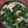 ﾌﾞﾚﾝﾀﾞ's cooksnap of when they made 釜揚げうどん.