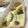ぽんず推し！'s cooksnap of when they made レンジで✿アスパラときのこのチーズ蒸し.