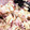 すみっこ2011's cooksnap of when they made 【りんごとさつまいものポテトサラダ♪】.