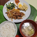 ちゃーきー★'s cooksnap of when they made 春よこ～い！菜の花のマヨわさび和え。.