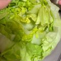 クックHYY12Y☆'s cooksnap of when they made レタスの芯の抜き方＆鮮度を保つ保存法.