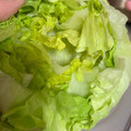 クックHYY12Y☆'s cooksnap of when they made レタスの芯の抜き方＆鮮度を保つ保存法.