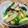 料理男子部's cooksnap of when they made 簡単♪小松菜とキノコ・ごぼうの炒め物.