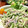 Superlittleboo's cooksnap of when they made 超簡単♡新玉・きゅうり・ささみのサラダ♡.
