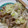 0720まま's cooksnap of when they made 豚肉ともやしのねぎ塩レモンだれ.