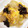 ミケネコキング's cooksnap of when they made キクラゲとレタスの卵炒め.