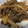 snow012's cooksnap of when they made 牛肉とうどのオイスターソース炒め.