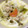 さおりん@料理特訓中's cooksnap of when they made 鶏肉と白ネギときのこのクリーム煮.
