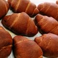りんみんけん's cooksnap of when they made ごろごろチョコバターロール.