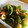 みぽりんちゃん's cooksnap of when they made 簡単♡節約！！ちくわピーマンのきんぴら♡.