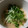 にじきらら's cooksnap of when they made お通しにどうぞ✿長芋とかいわれ～♬.