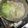 らん蘭's cooksnap of when they made 簡単美味しいレタスと豚肉のしゃぶしゃぶ鍋.