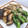 まこさんど's cooksnap of when they made 簡単♪ししとうだけ！甘辛おかか炒め.