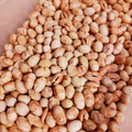 Naaommi's cooksnap of when they made オーブン使用の節分豆.