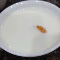 HSHG's cooksnap of when they made ♡牛乳消費に♪みかん入りミルクプリン♡.
