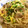 ぽんず推し！'s cooksnap of when they made 牡蠣とえのきの和風ペペロンチーノ柚子風味.