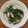 クック1FX93J☆'s cooksnap of when they made しいたけと水菜のしょうが炒め.