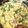あずれじ's cooksnap of when they made 簡単！基本の豆乳グラタン.