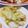 ☆★ケイト★☆'s cooksnap of when they made 白菜の中華風浅漬け.