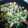 かいあママ's cooksnap of when they made 小松菜と豚肉のマヨ炒め.