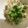 ma___111's cooksnap of when they made 超簡単！えのきポンズon焼き豆腐.