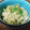 みつかん｡◕‿◕｡'s cooksnap of when they made さば缶のカレー炊き込みご飯.