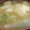 あゆたっくん's cooksnap of when they made 大根と長ネギの味噌汁.
