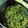 クックOIDHYZ☆'s cooksnap of when they made ご飯のお供に！大根の葉の麻婆風炒め.