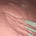 ★こうたんペンギン★'s cooksnap of when they made ★罪悪感0★砂糖　塩　不使用　手作り餡.