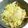 クックGB6431☆'s cooksnap of when they made きゃべつとにんじん玉ねぎのごまみそサラダ.