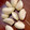 MULA's cooksnap of when they made 簡単長持ちにんにく保存.