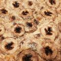 食いしん坊うさぴょん's cooksnap of when they made 簡単5分！バナナのクラフティ♪.