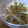 ラタママ's cooksnap of when they made 簡単！もやしと胡瓜のさっぱり胡麻和え.