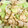 クック15FFG6☆'s cooksnap of when they made 節約！簡単！キャベツと鶏そぼろの和風炒め.