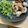とっちゃん2号's cooksnap of when they made 鶏の味噌漬け.