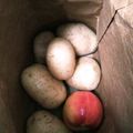 Akkers's cooksnap of when they made 日持ち最強！じゃがいも保存法(秋冬限定).