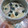はぁぴょん's cooksnap of when they made 松茸の茶碗蒸し.