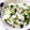 ちょこふみ's cooksnap of when they made 混ぜるだけ！大根の葉を使った菜めし.