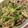 クックVGTD6R☆'s cooksnap of when they made 簡単！豚肉と豆苗のオイスターソース炒め.