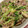 クックVGTD6R☆'s cooksnap of when they made 簡単！豚肉と豆苗のオイスターソース炒め.